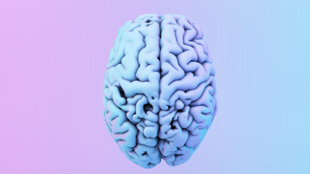 El Cerebro humano